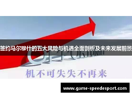 签约马尔穆什的五大风险与机遇全面剖析及未来发展前景