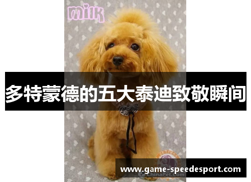 多特蒙德的五大泰迪致敬瞬间