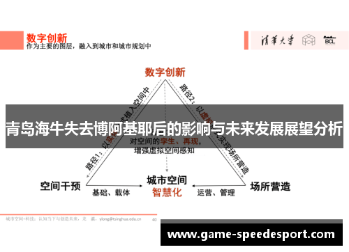 青岛海牛失去博阿基耶后的影响与未来发展展望分析